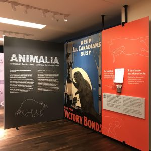 TI INTERIORS Animalia_IMG_2726